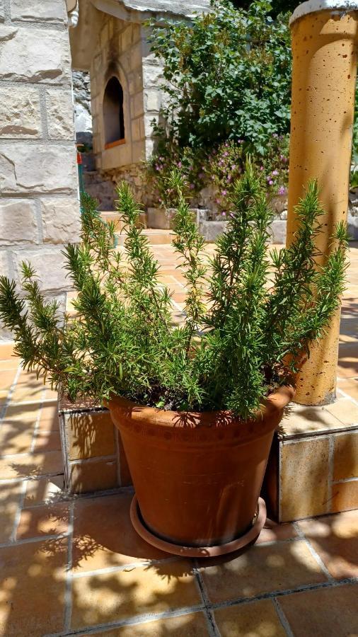 Holiday House Terezija Baška Voda المظهر الخارجي الصورة