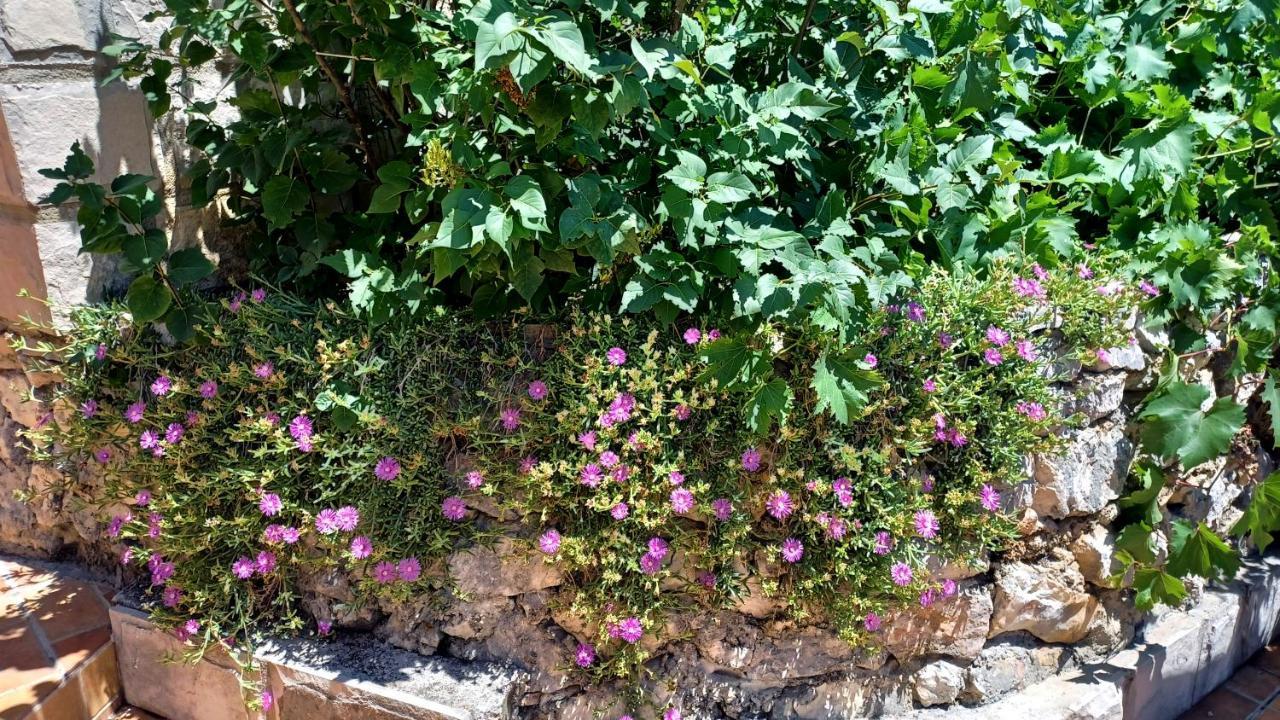 Holiday House Terezija Baška Voda المظهر الخارجي الصورة