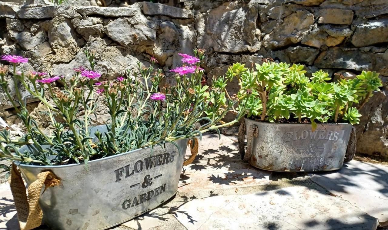 Holiday House Terezija Baška Voda المظهر الخارجي الصورة