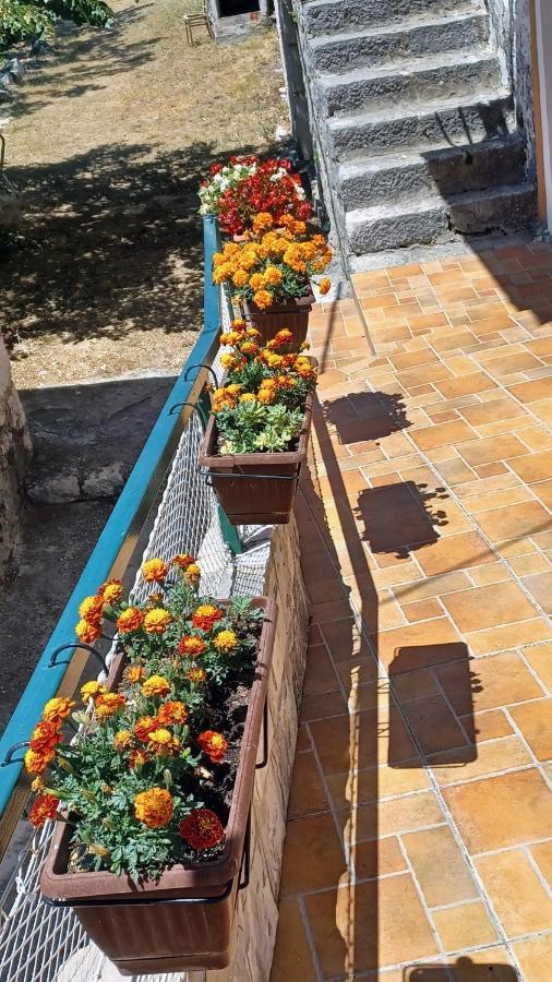 Holiday House Terezija Baška Voda المظهر الخارجي الصورة